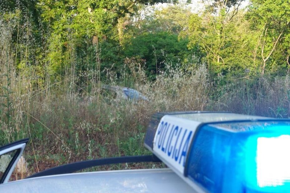 Opel je nakon izlijetanja sa ceste udario u drvo