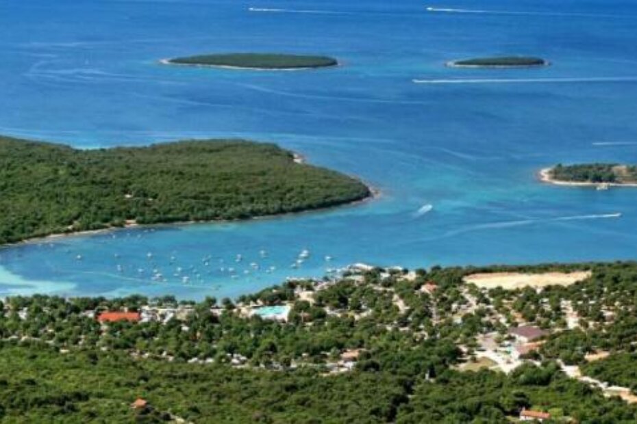 Veštar (V. BUGARIN)