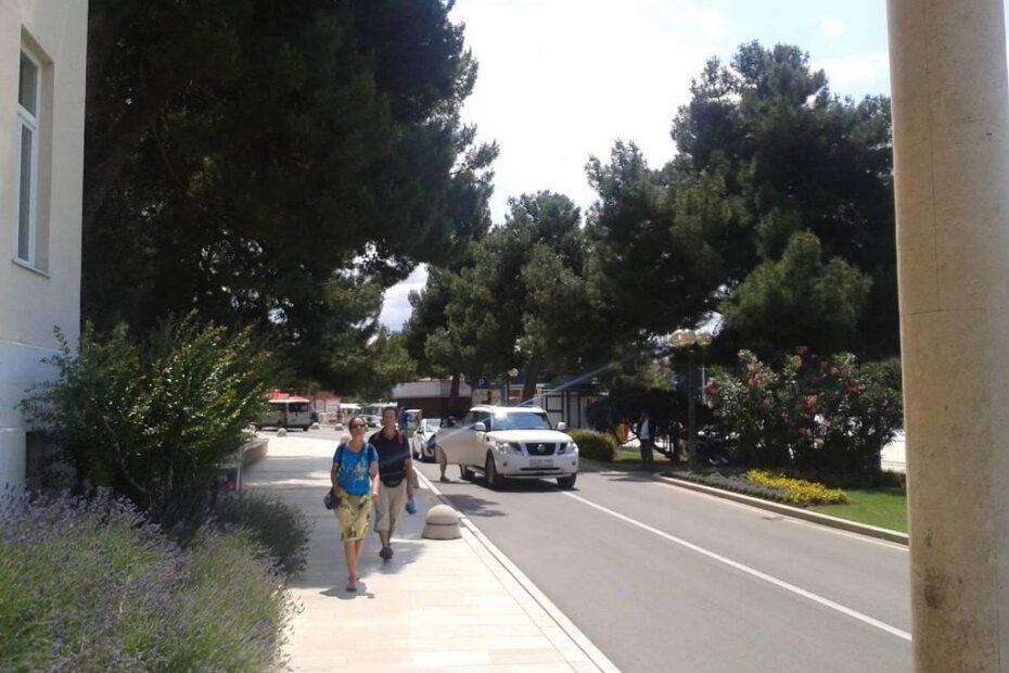 Ovaj vozač sa ruskim tablicama nije si čak dao truda pa na punoj liniji stao uz rub ceste, nego je još malo prešao preko sredine, uključio četiri žmigavca pa dobru minutu ukrcavao putnike, usput nešto važno raspravljajući sa njima