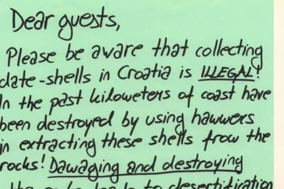 Plakat koji je izradila učenica Donatella Šimičić