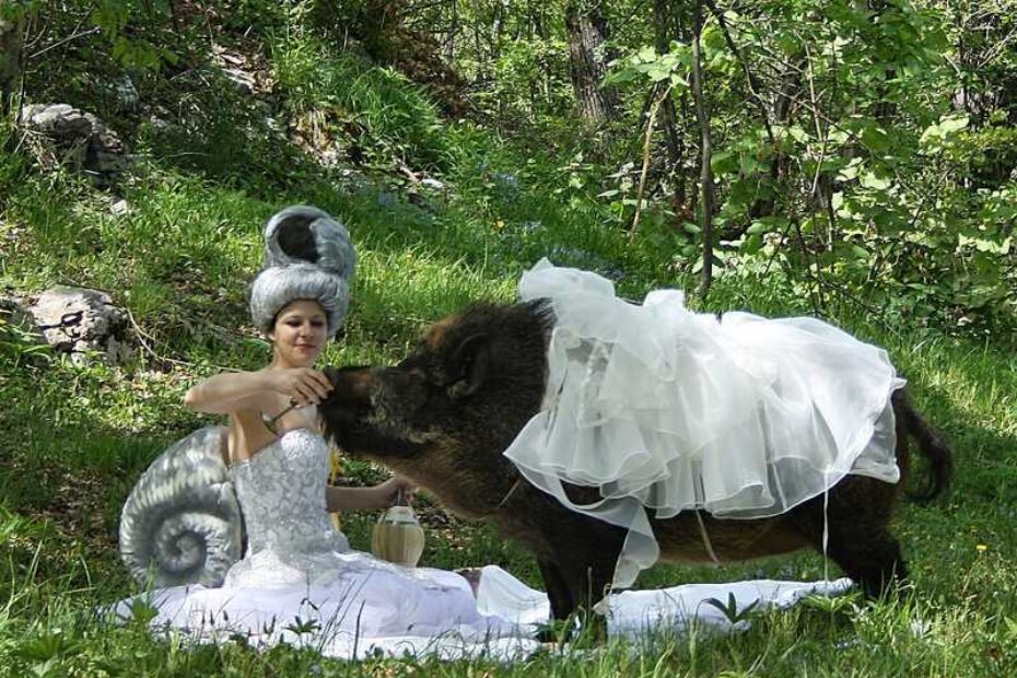 Tajci Čekada, The picnic