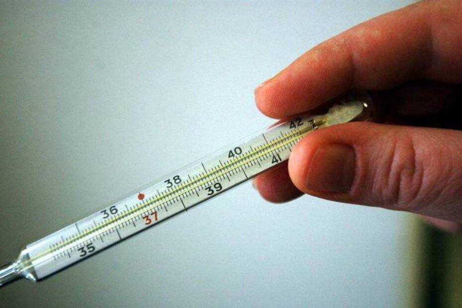 S 1. srpnjem živini termometri ne bi se smjeli više prodavati (arhiva)
