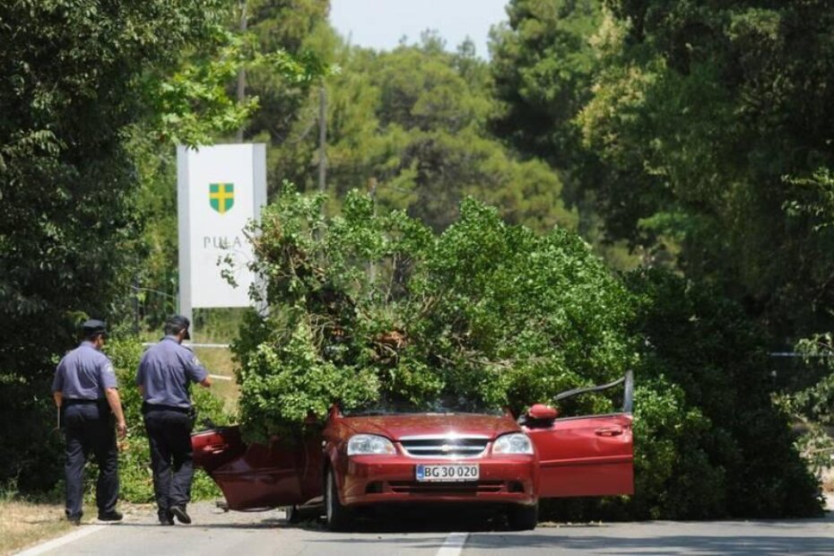 Stablo palo na automobil i ozlijedilo troje (D. ŠTIFANIĆ, Glas Istre)