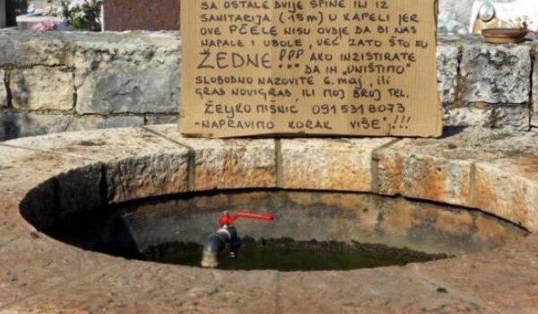 Nisu pčele na špini da bi vas napale, one su žedne