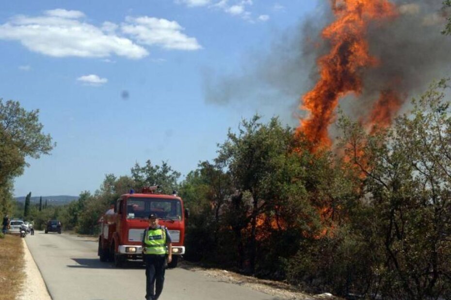 Požar na cesti Plovanija - Savudrija