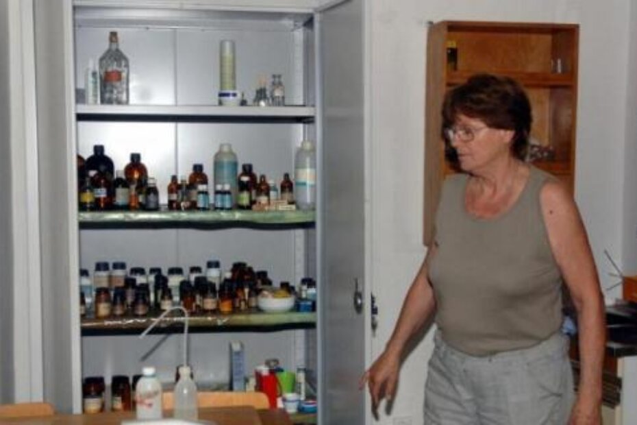 Iz ormara su nestale kemikalije - ravnateljica Ružica Močibob (M. SARDELIN)