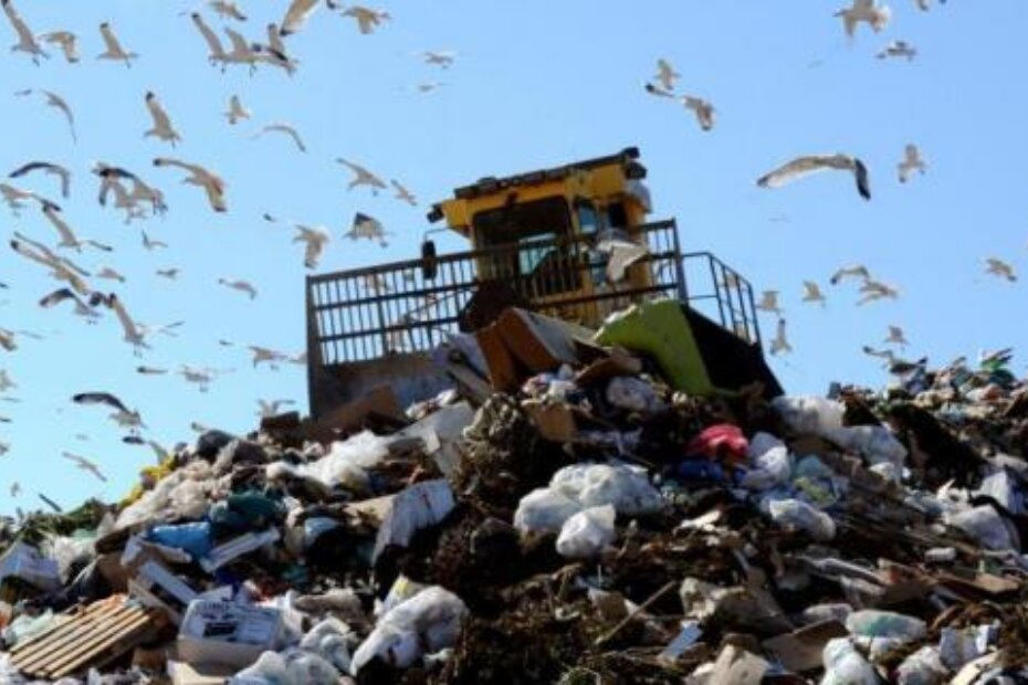 Koliko još ima mjesta za smeće na Kaštijunu? (M. MIJOŠEK)