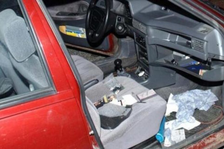 Ilustracija (D. ŠKOMRLJ/arhiva)