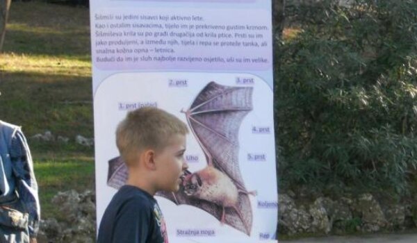 Šišmišarije na Brijunima oduševile djecu i roditelje