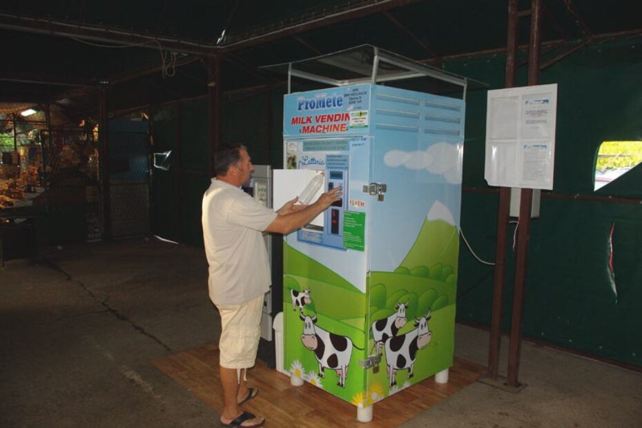 Svježe domaće mlijeko iz mljekomata na porečkoj tržnici dostupno je 24 sata dnevno