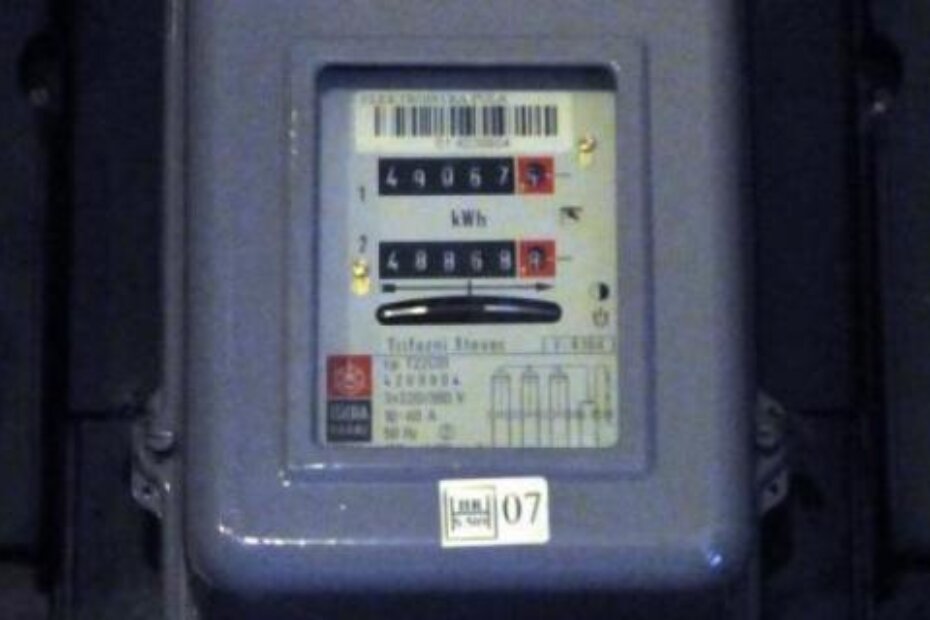 Ilustracija (N. LAZAREVIĆ)