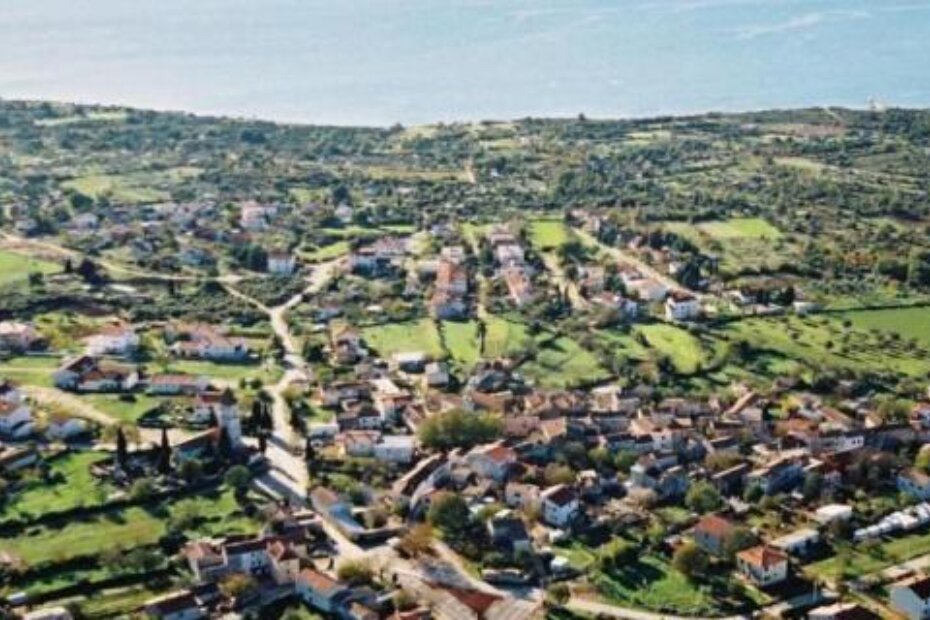 Ilustracija (E. STRENJA/arhiva)