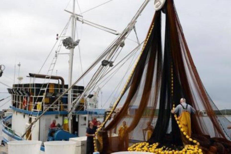 Ribari razmišljaju o promjeni djelatnosti (M. ANGELINI)