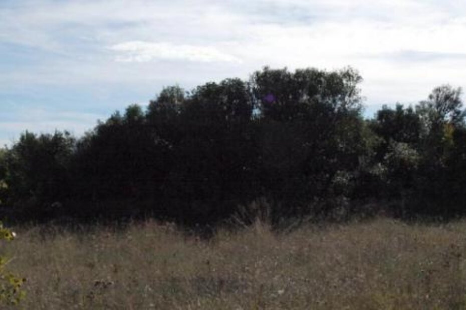 Ilustracija (arhiva/S. P.)