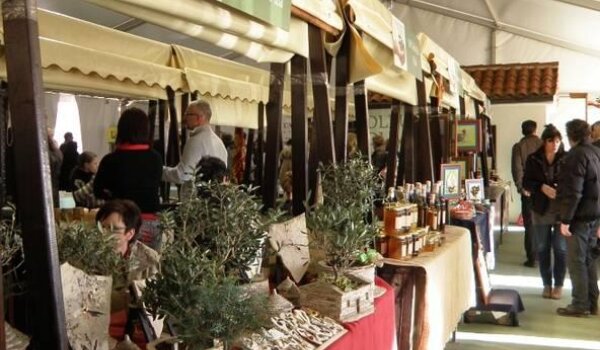 17. susreti OLEUM OLIVARUM u Krasici