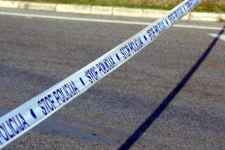 Ilustracija (M.SARDELIN)