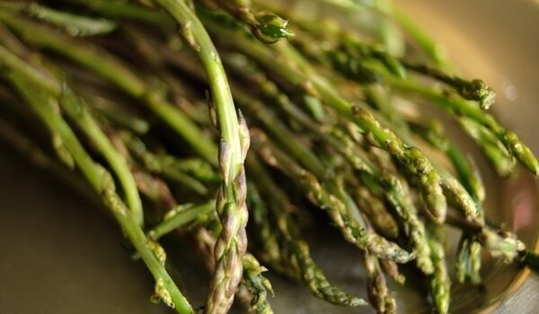 7. tradicionalna proljetna fritaja Nove Vasi