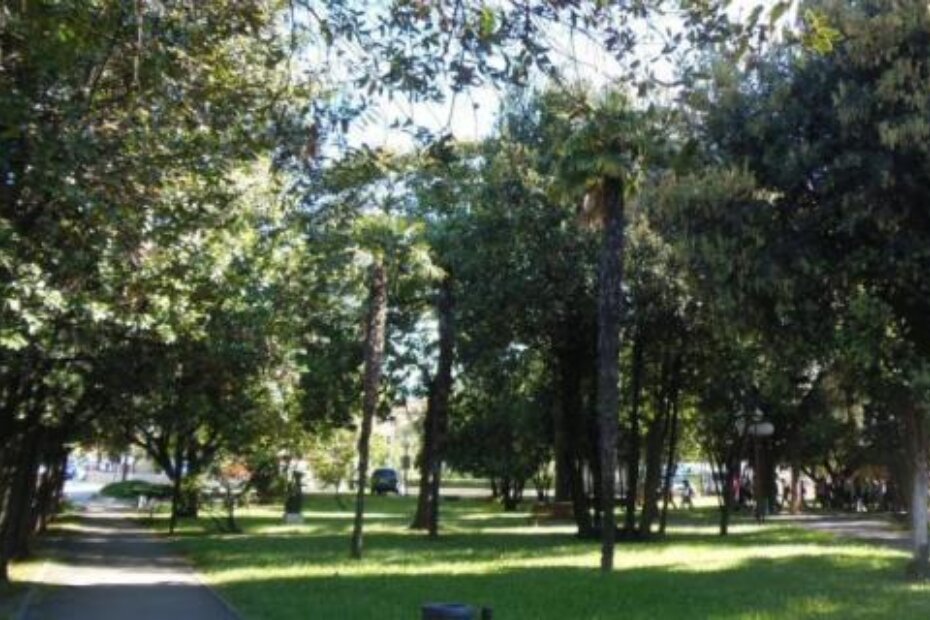 Ostaci botaničkog vrta danas su Park grada Siofoka