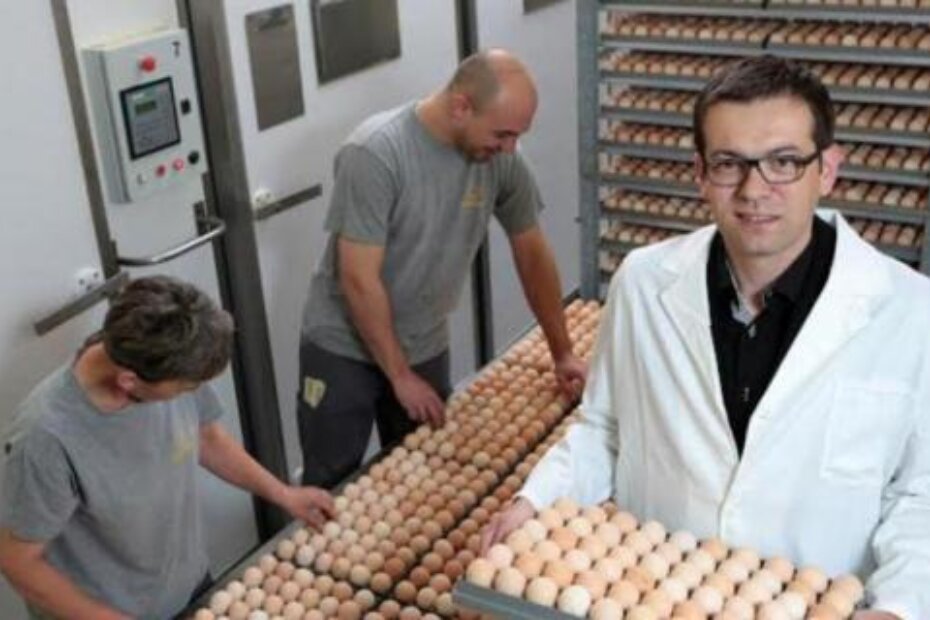 Izvršni direktor tvrtke Valipile Andrej Alilović