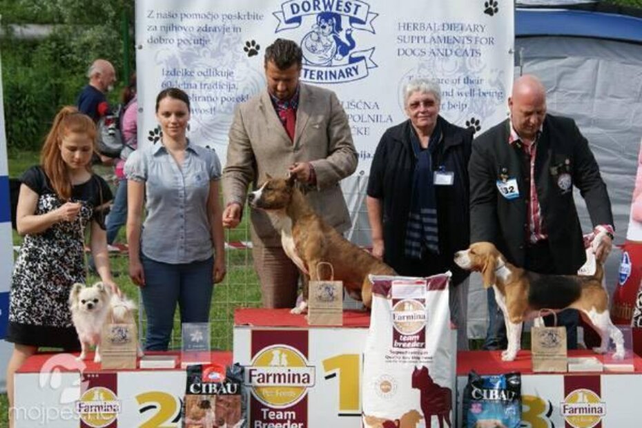 Playmaker's HR Hard Core Dragon na pobjedničkom postolju sa svojim vlasnikom Rinaldom Kvesićem