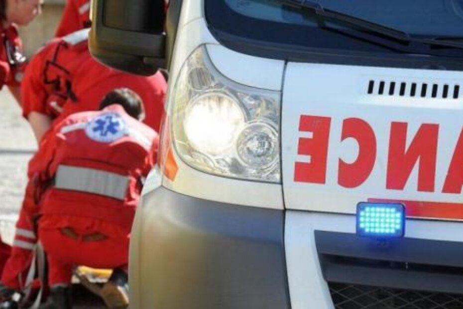 Ilustracija (S. DRESCHLER/Novi list)