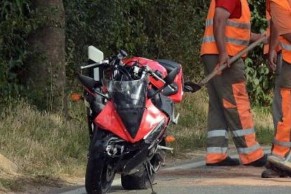 Ilustracija (M. ANGELINI)