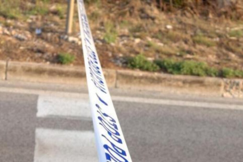 Ilustracija (M. SARDELIN)