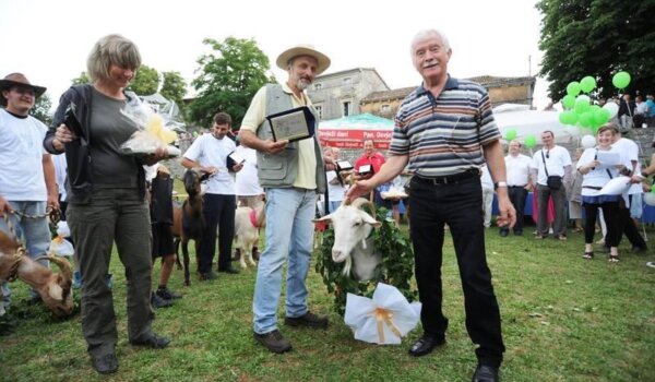 Održani 3. Festival sira i Naj koza u Svetvinčentu