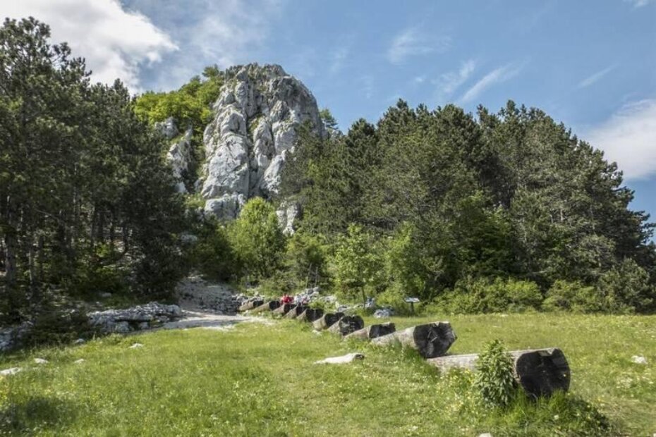 (G. ČALIĆ ŠVERKO)