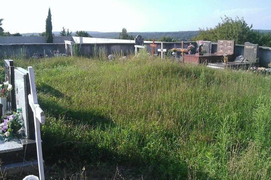 Sramotan izgled groblja u Baderni