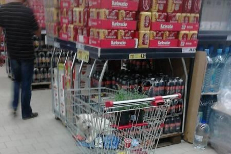 Slatki mali, k'o igračka je!