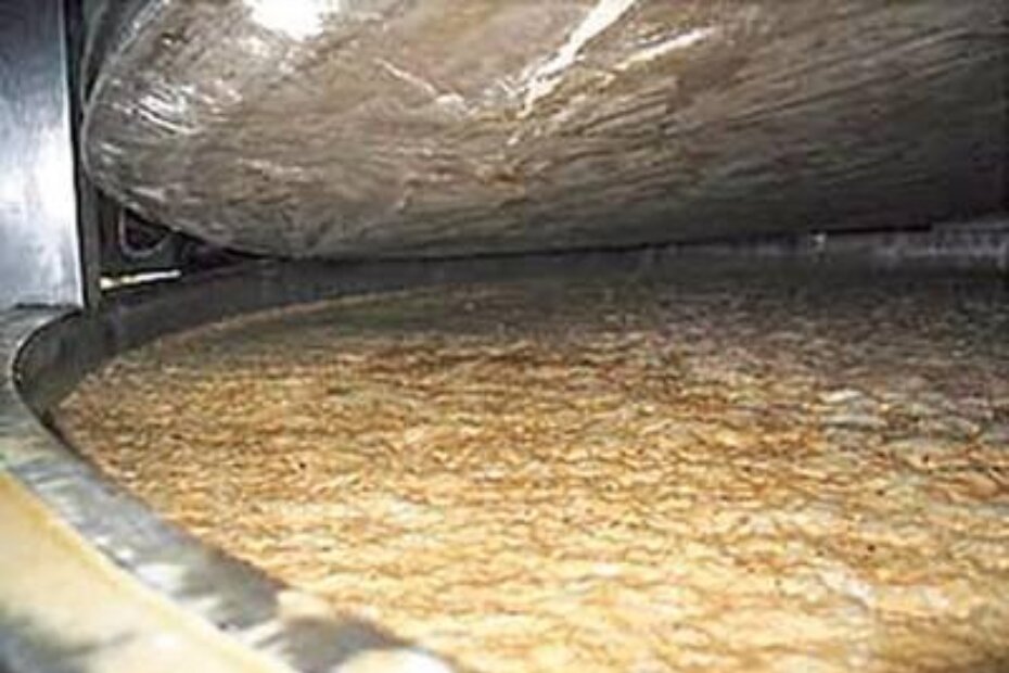 Fermentacija mošta (foto: savjetodavna.hr)