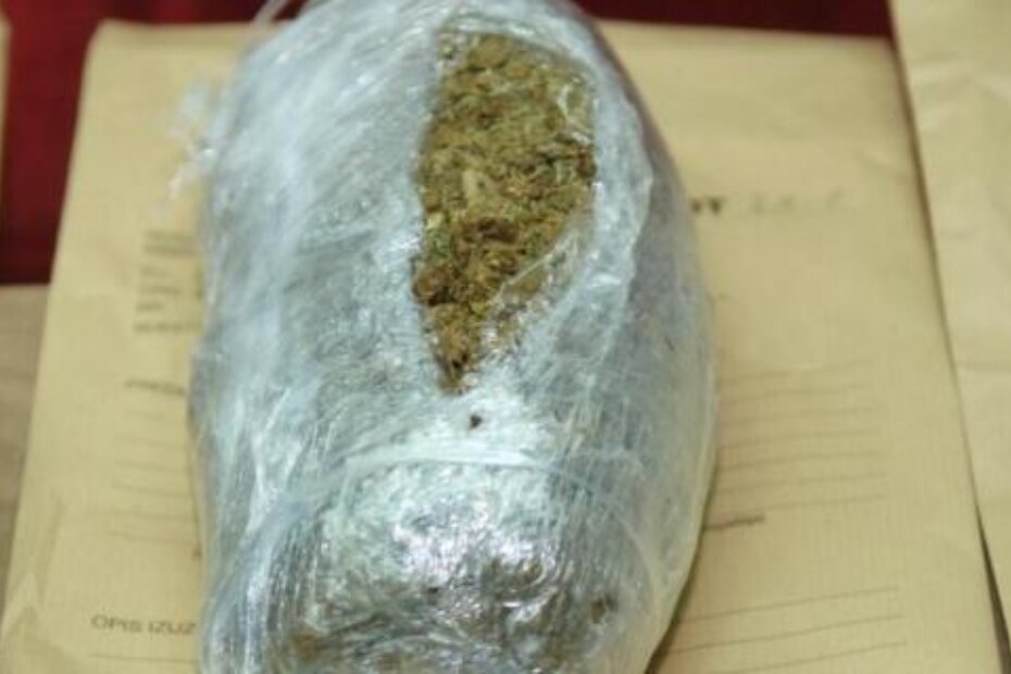 Marihuana prokrijumčarena iz Crne Gore na Poreštini se kupovala "na veliko" (D. MEMEDOVIĆ)