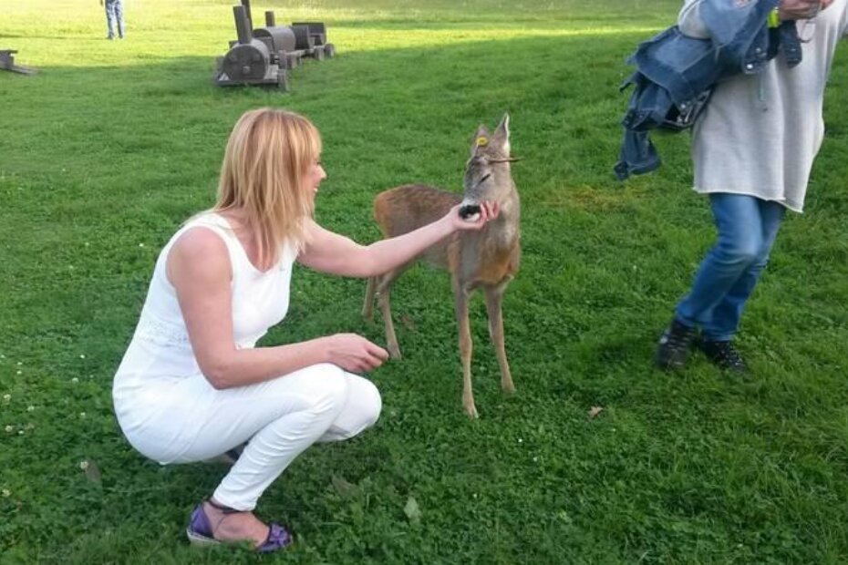 U pauzama od rada sudionike stručnih događanja je zabavljala mala, umiljata srna koju su vinkovački lovci udomili i njeguju je