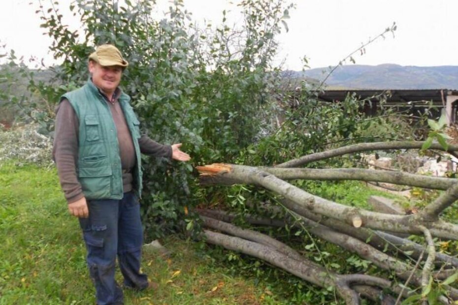 Denis Tikel uz slomljen lovor (M. RIMANIC)