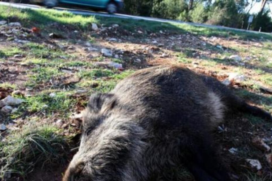 (Vladimir Ivanov/CROPIX)