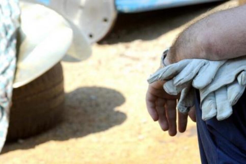 Ilustracija (S. DRESCHSLER)