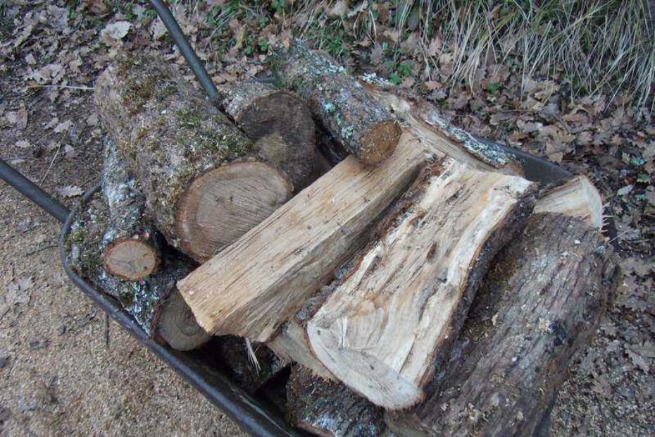 Ilustracija (magnonsmeanderings.blogspot.com)