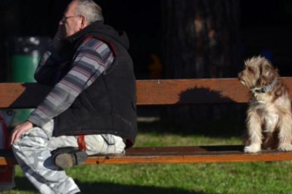 Ilustracija (M. ANGELINI)