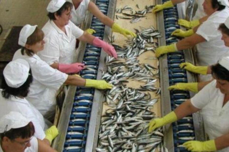 Ukupni dugovi Mirne popeli su se na 56,5 milijuna kuna (D. MEMEDOVIĆ)