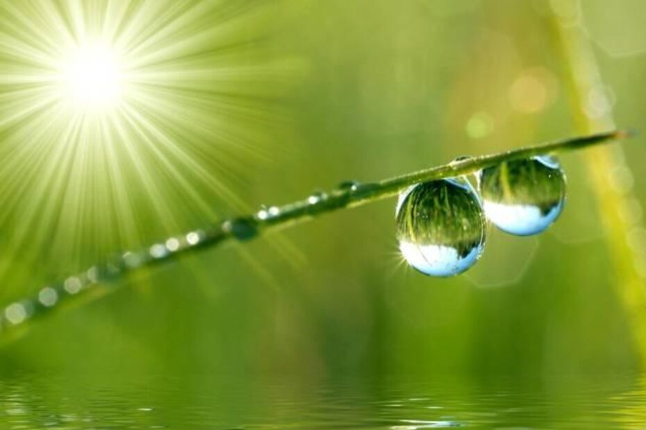 Ilustracija (relaxationmoments.com)