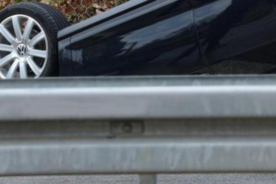 (ILUSTRACIJA / Manuel ANGELINI)