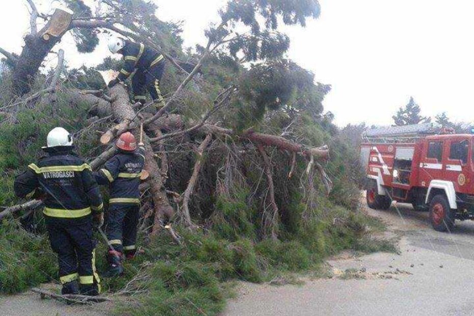 Posljedice nevremena (Foto: HVZ)