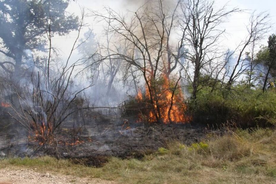 Ilustracija (arhiv parentium.com)