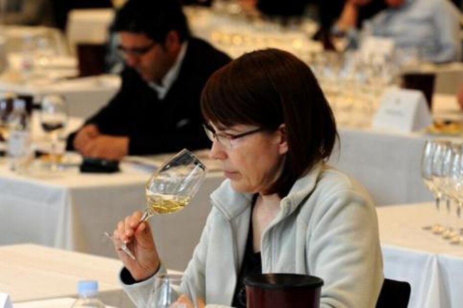 Ocjenjivanje vina na Vinistri (M. MIJOŠEK)