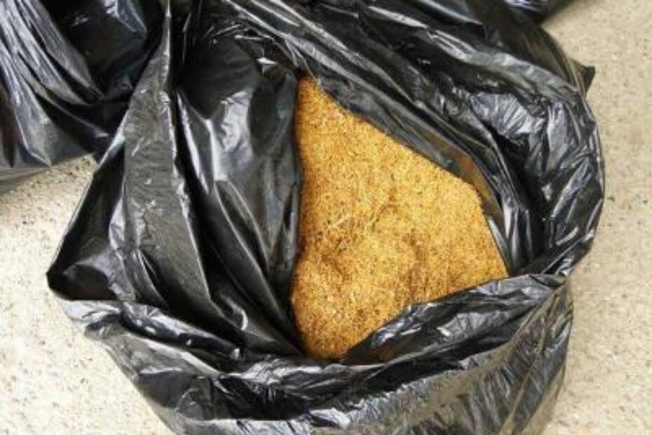 Ilustracija (poslovni.hr)