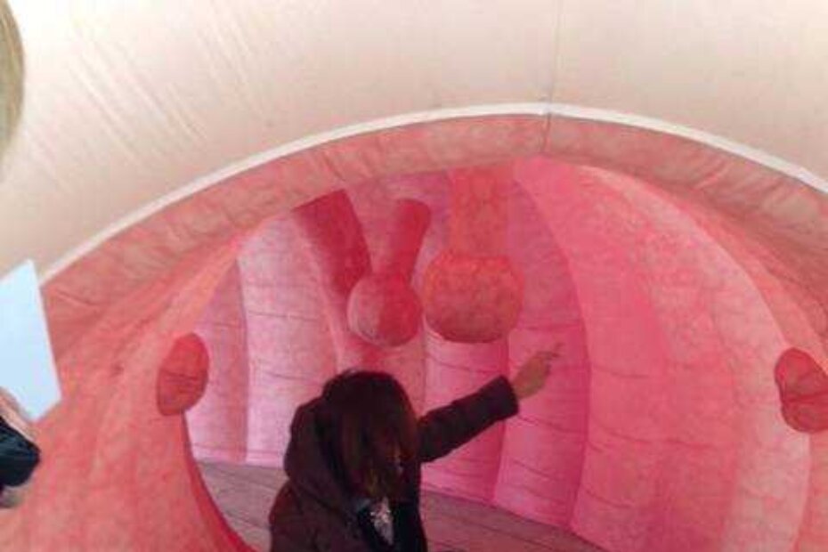 Sa prošlogodišnje akcije upoznavanja građana sa karcinomom debelog crijeva na Trgu slobode u Poreču