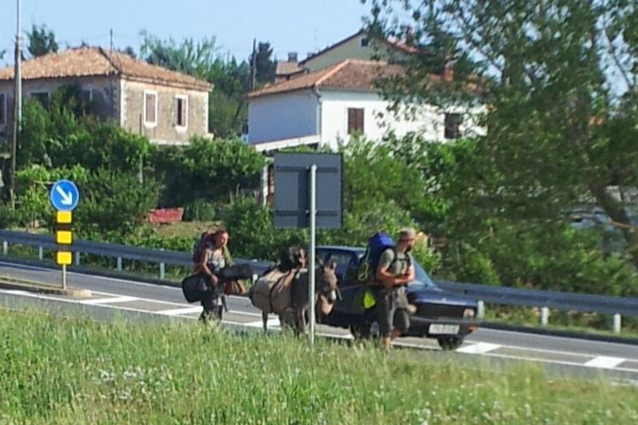 Supružnici sa svojim ljubimcima snimljeni kod Buja