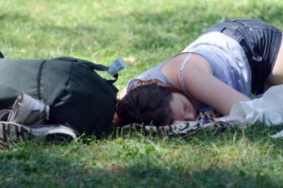 Ilustracija (M. ANGELINI)