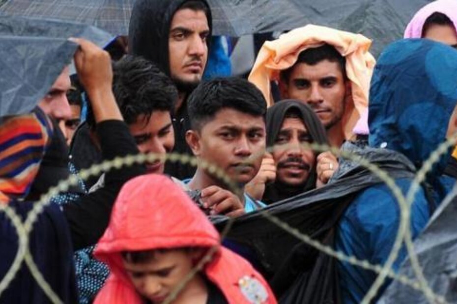 (Maja  Zlatevska / CROPIX)